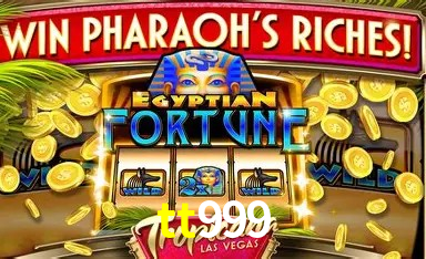 Casino Ao Vivo tt999